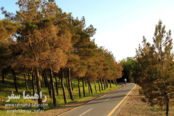 پارک شیان لویزان